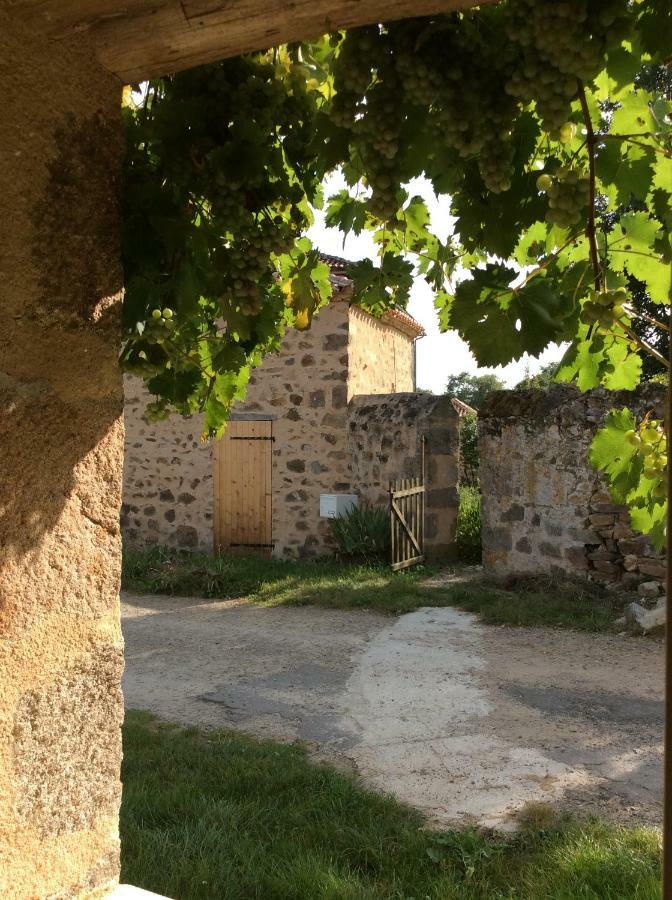 Gite Des Vergnes Esse 外观 照片